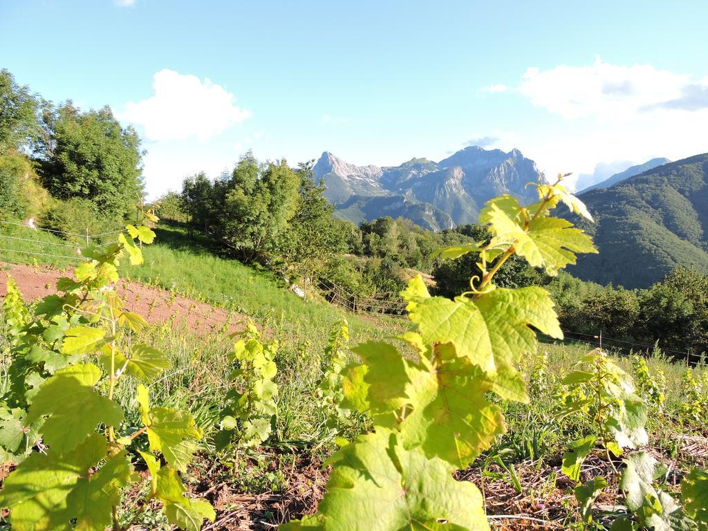 Hotel Rifugio Alpi Apuane Careggine Exteriér fotografie